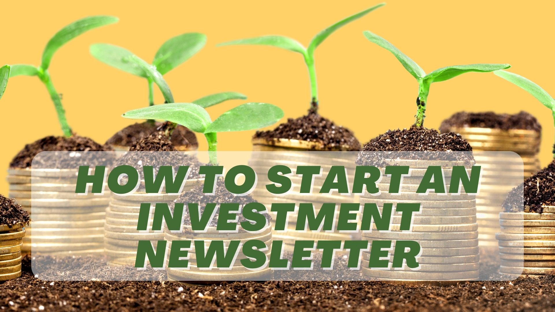How to Start an Investment Newsletter