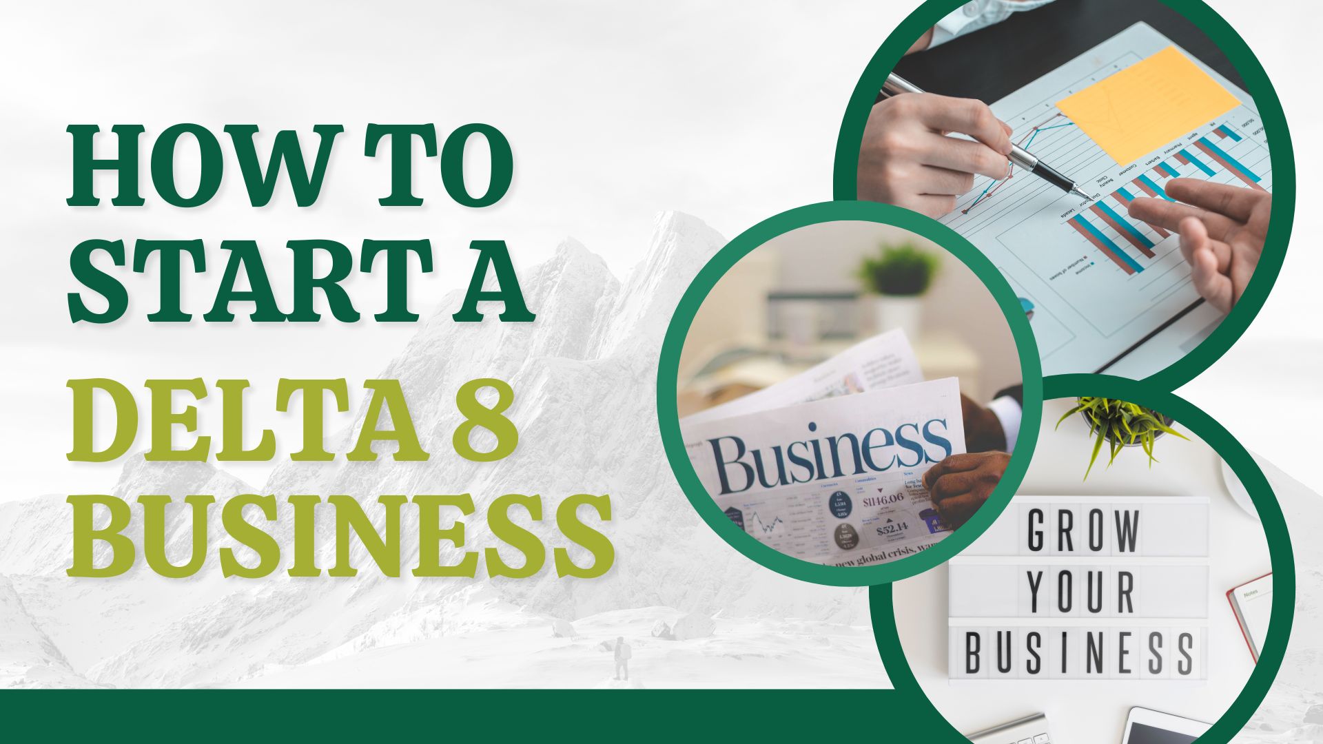 Start a Delta 8 Business