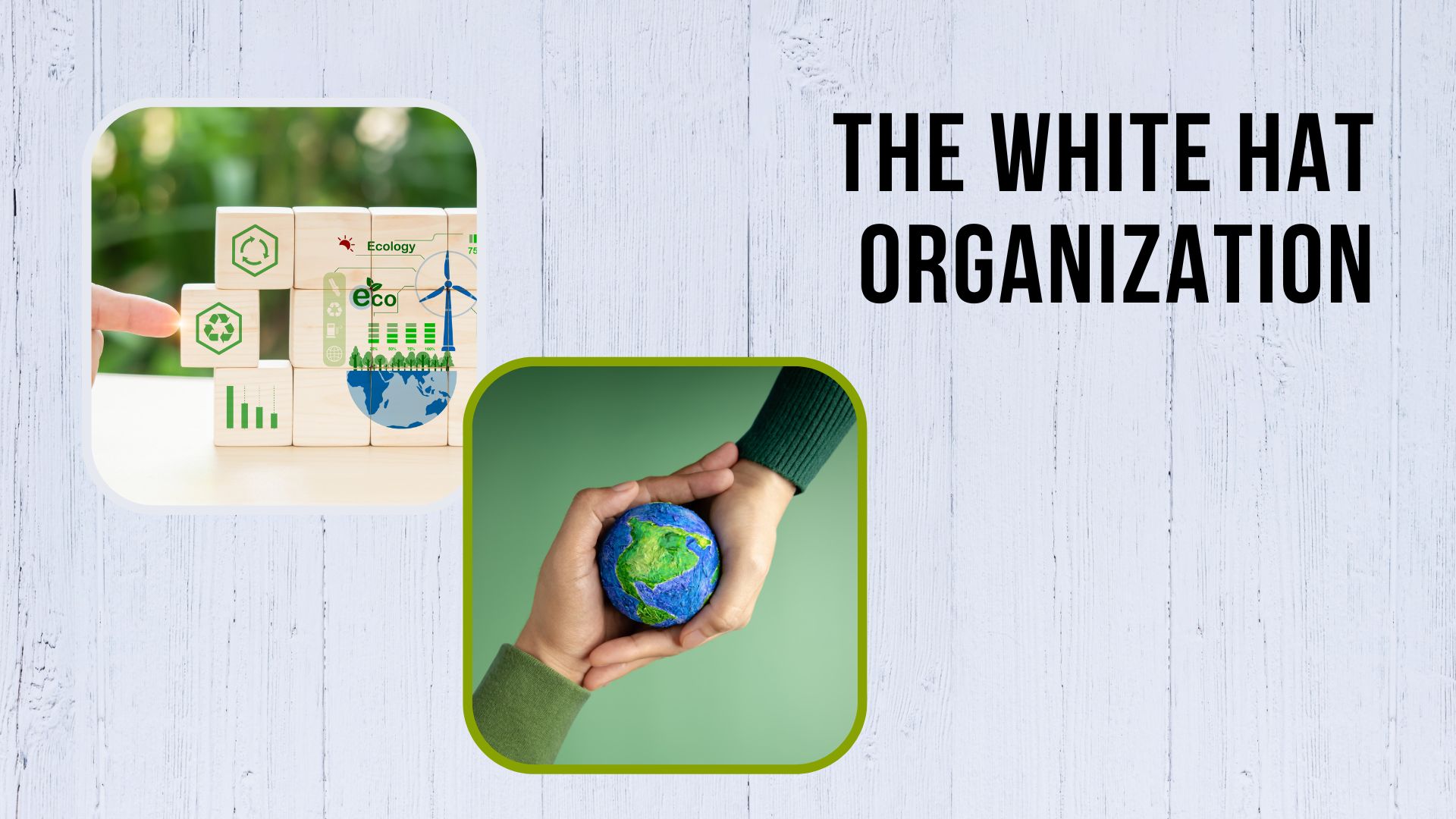 The White Hat Organization