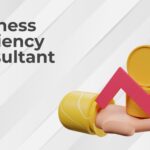 Business Efficiency Consultant