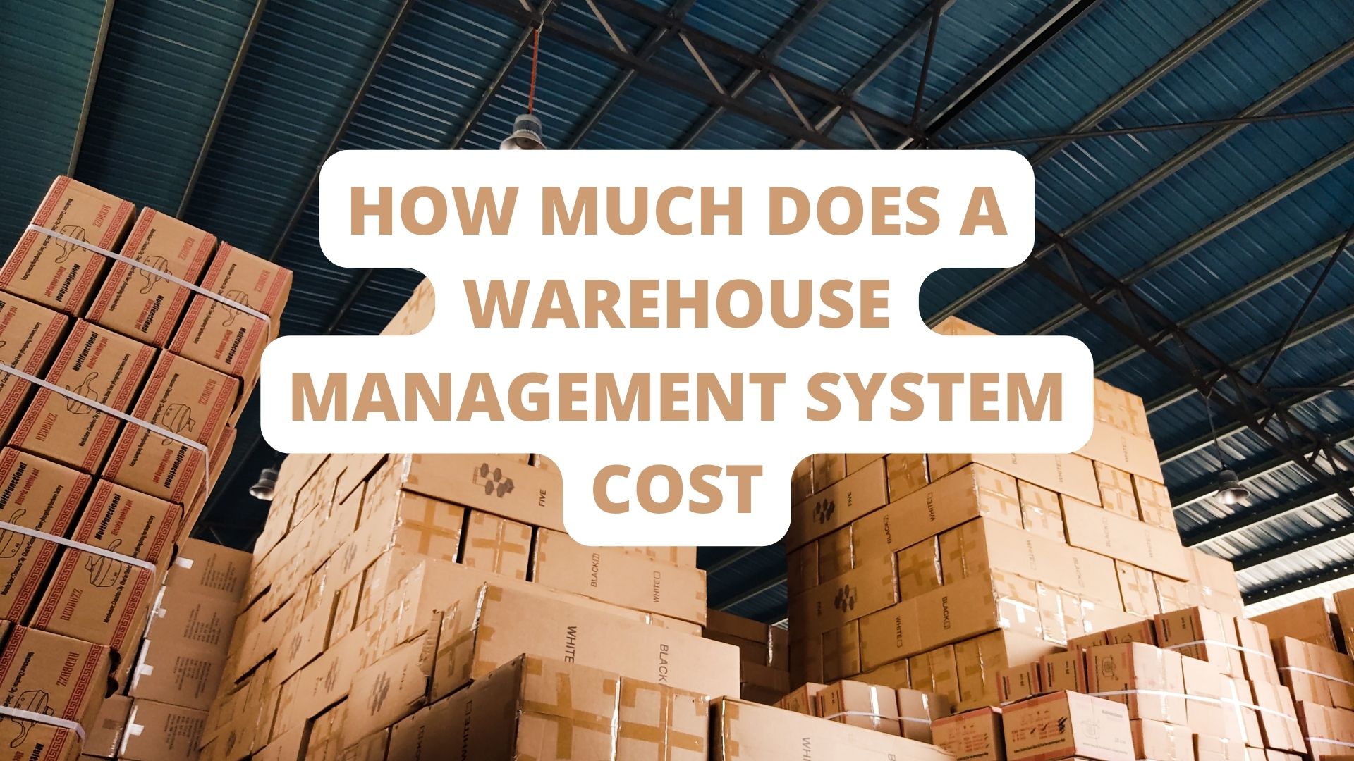 How Much Does a Warehouse Management System Cost