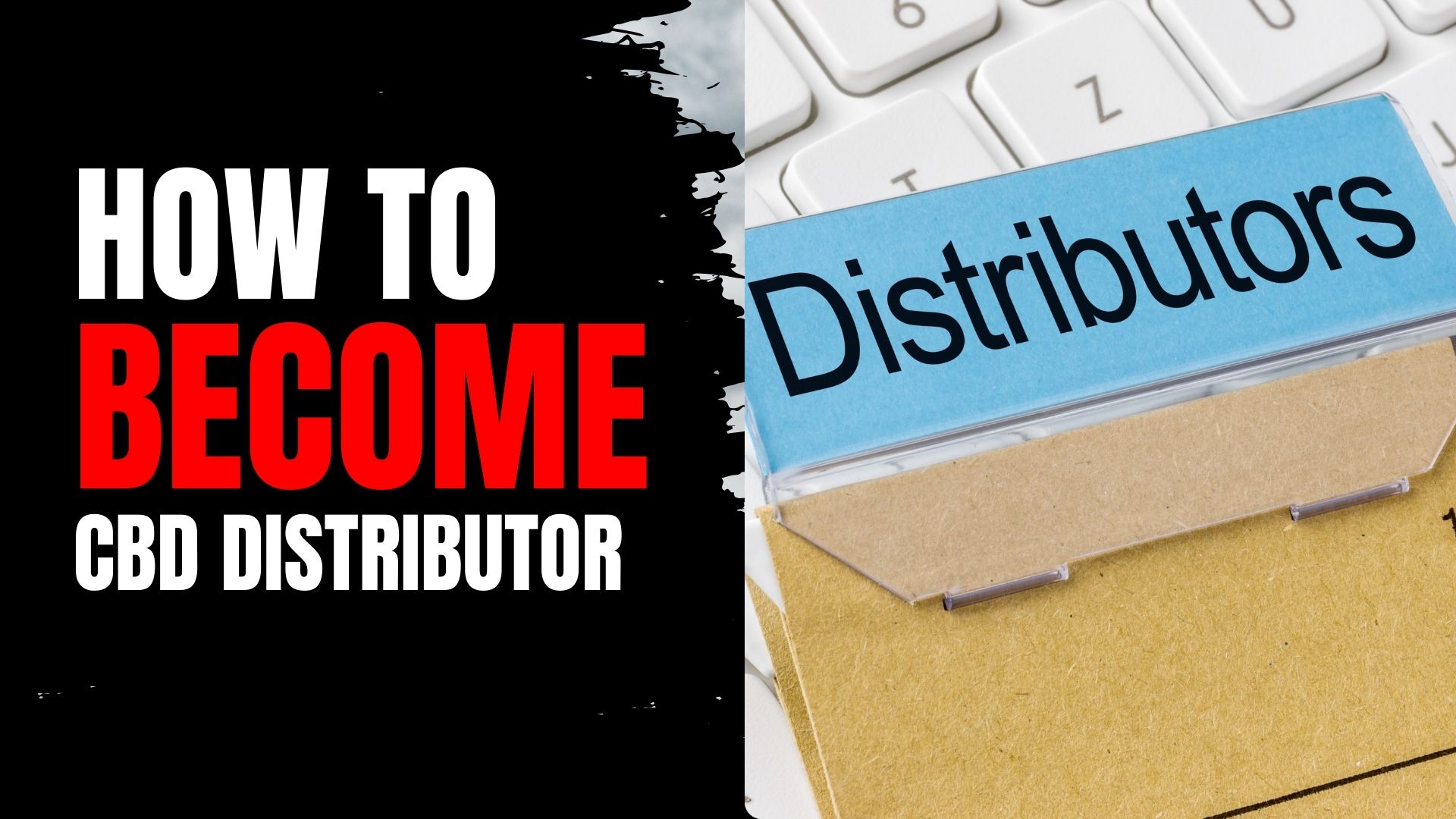 How to Become a CBD Distributor