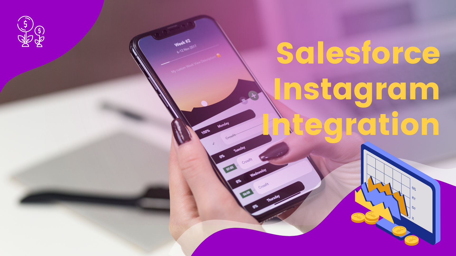 Salesforce Instagram Integration