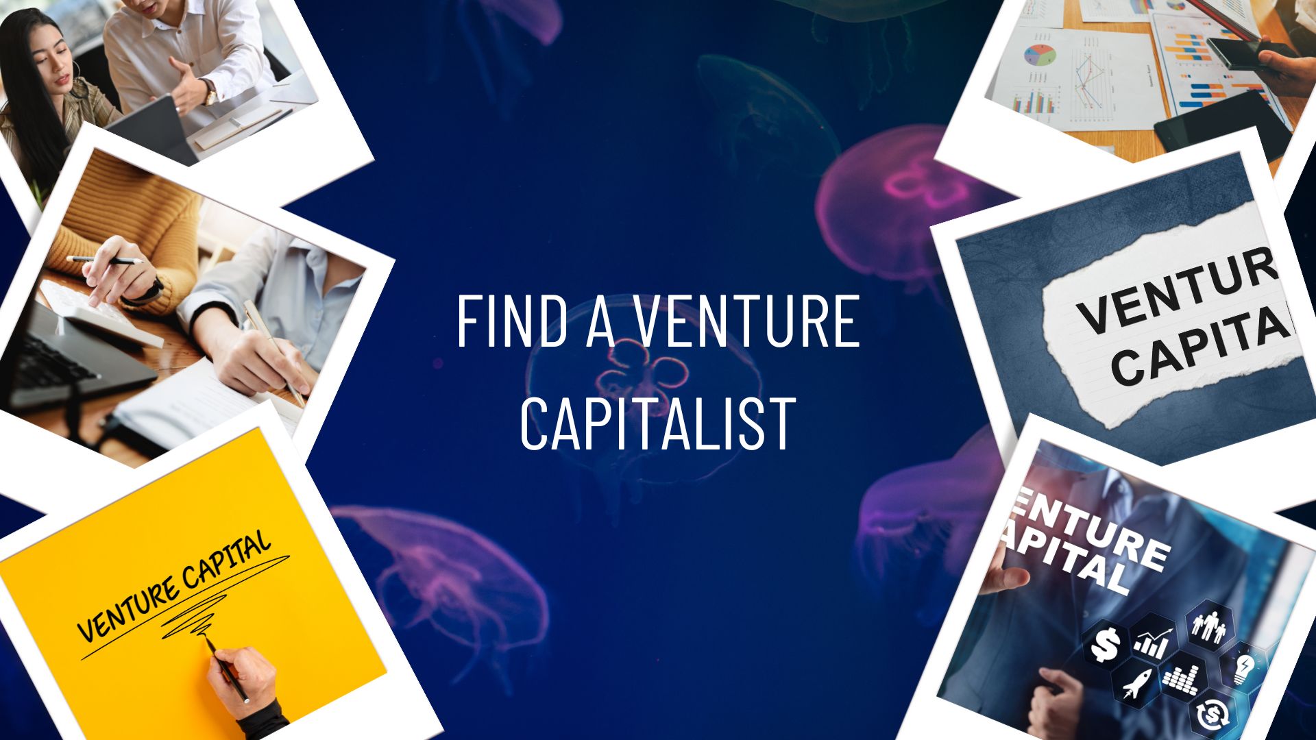 Find a Venture Capitalist