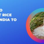 How to Import Rice from India to USA
