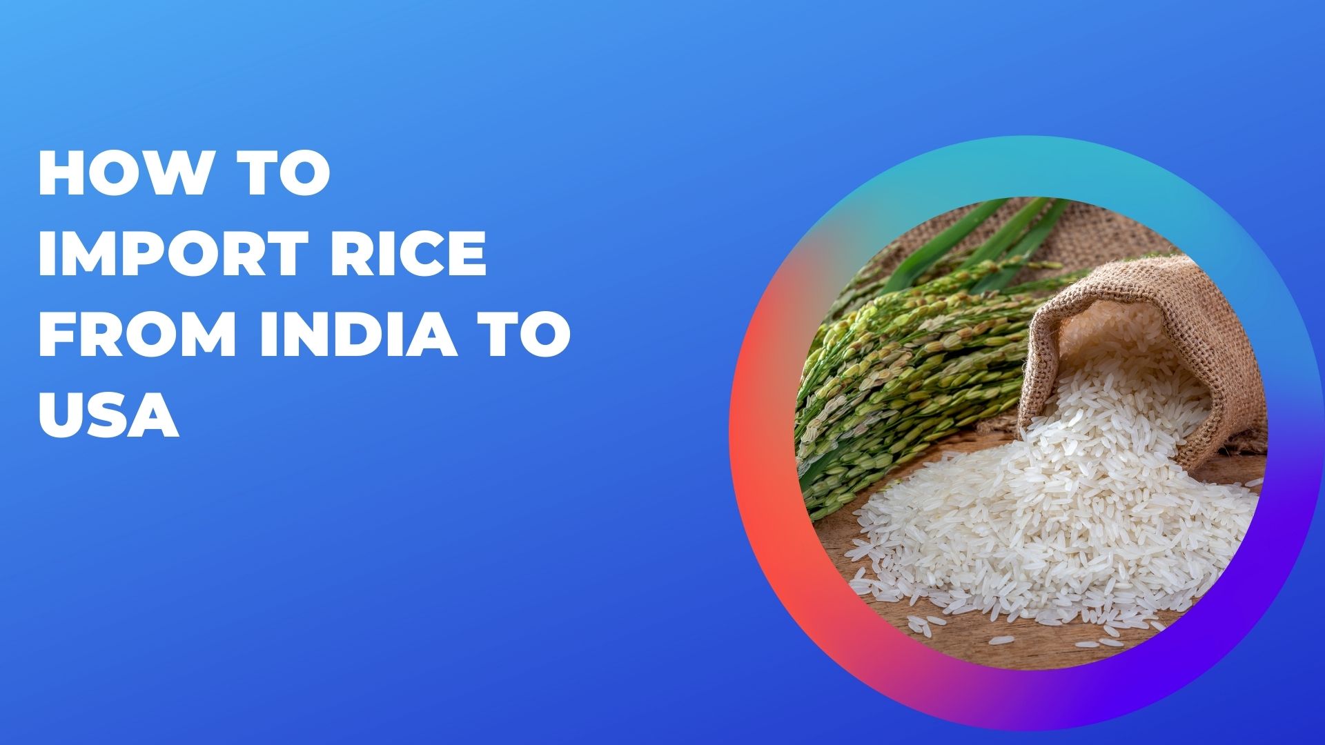 How to Import Rice from India to USA