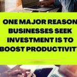 One Major Reason Businesses Seek Investment is to Boost Productivity