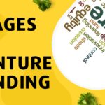Stages of Venture Funding