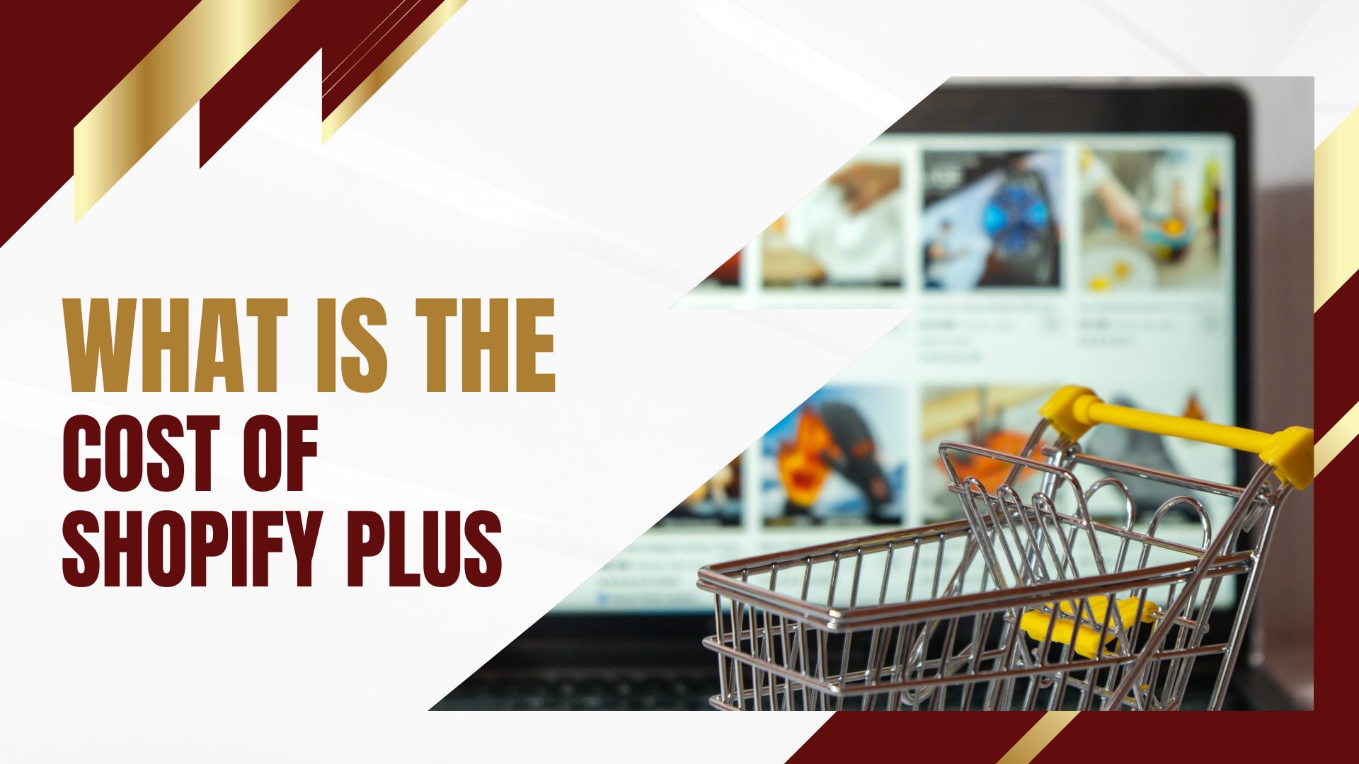 What is the Cost of Shopify Plus