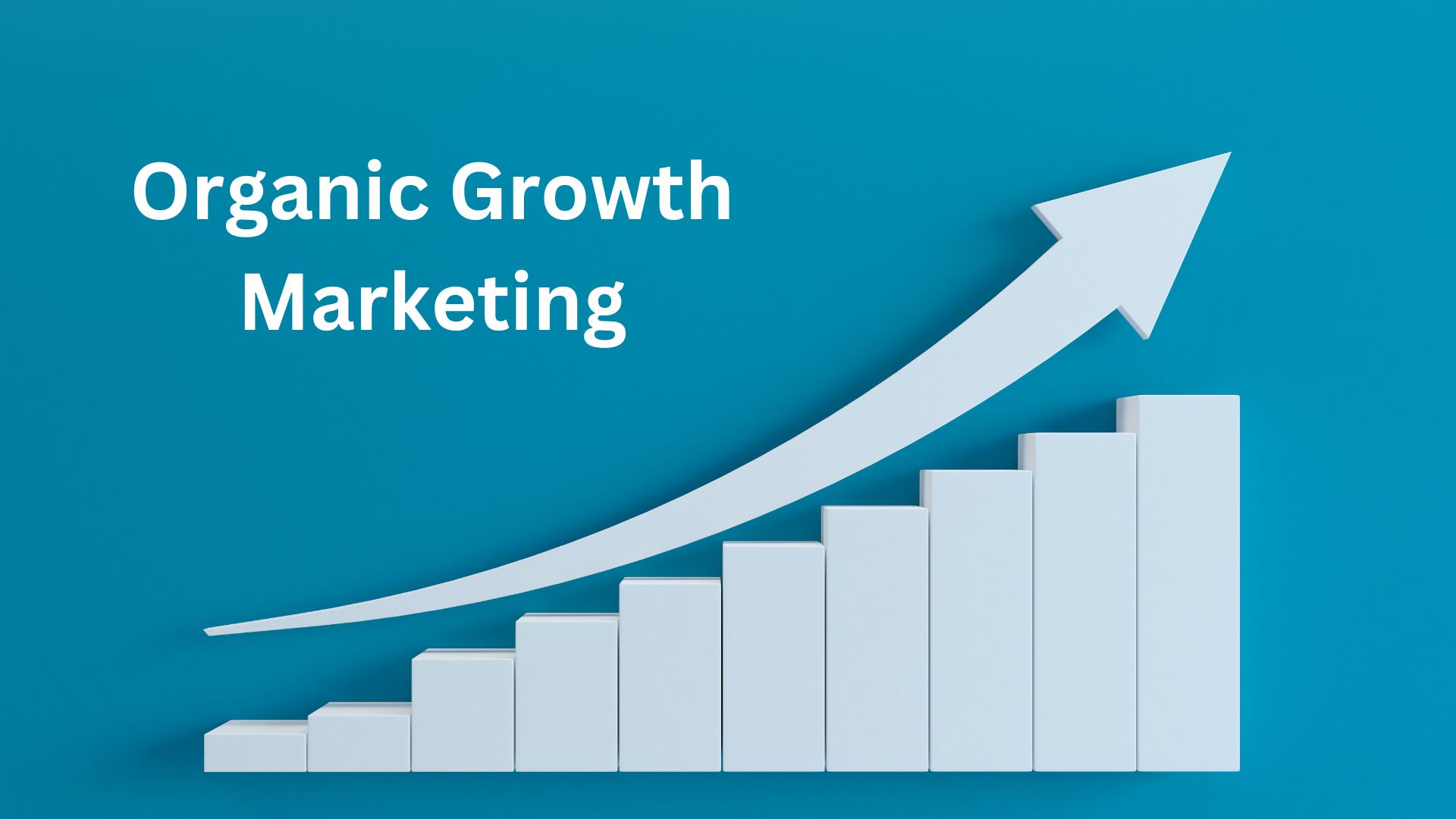 Organic Growth Marketing
