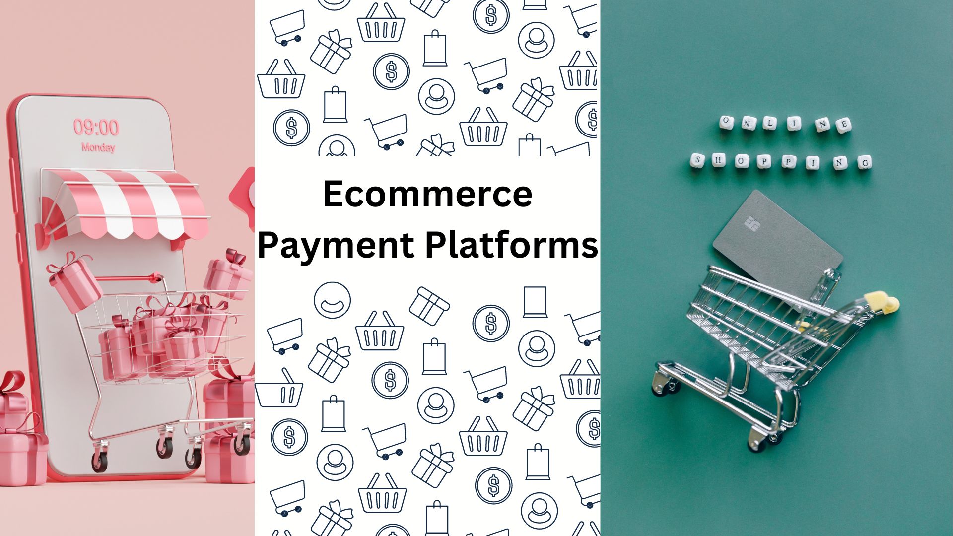 Ecommerce Payment Platforms