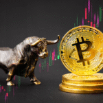 Next Crypto Bull Run