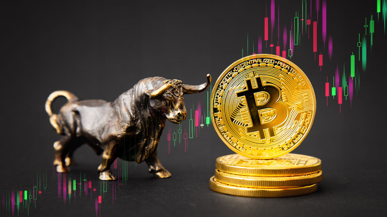 Next Crypto Bull Run